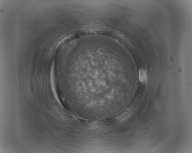 X0000068891155200605122026