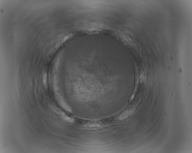 X0000068891156200605122026