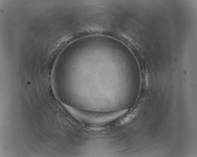 X0000068891157200605122026