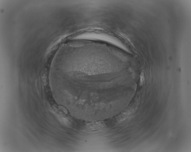 X0000068891159200605122026