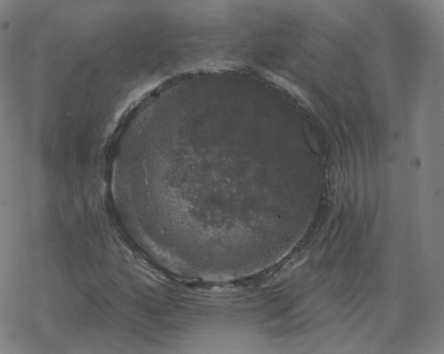 X0000068891160200605122026