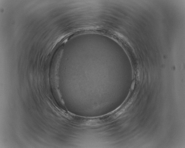 X0000068891161200605122026