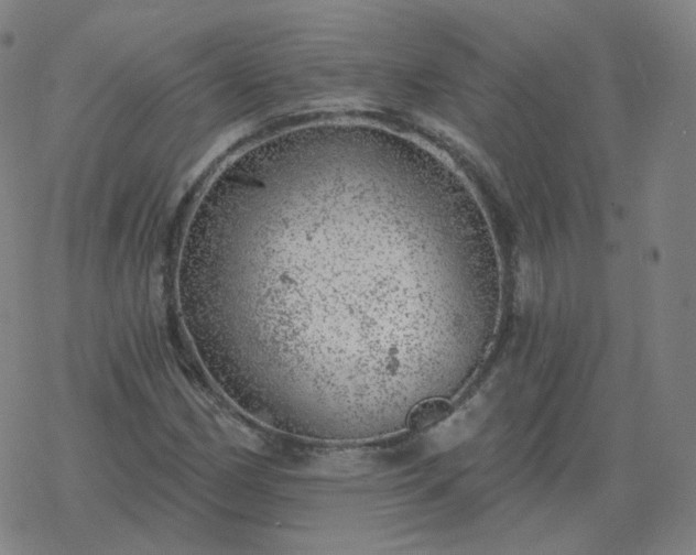 X0000068891162200605122026