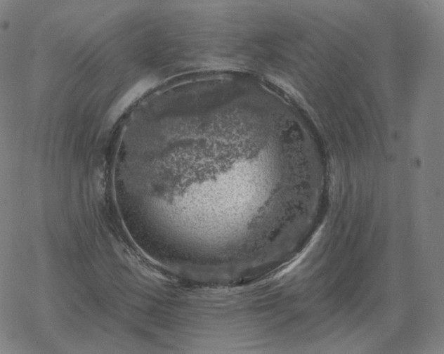 X0000068891163200605122026