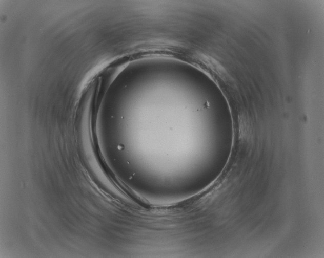 X0000068891164200605122026