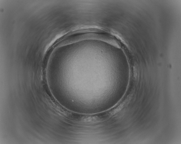 X0000068891165200605122026