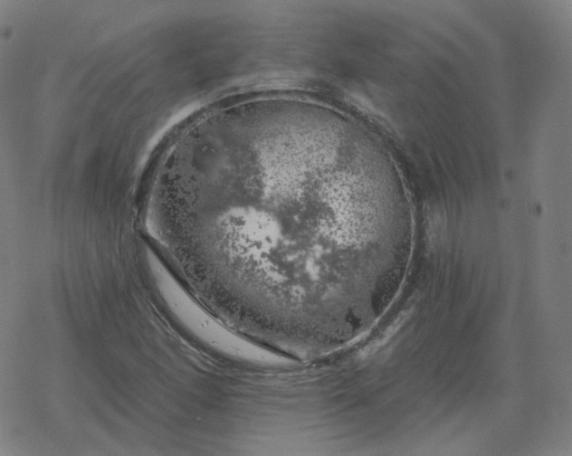 X0000068891166200605122026