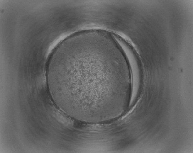 X0000068891167200605122026