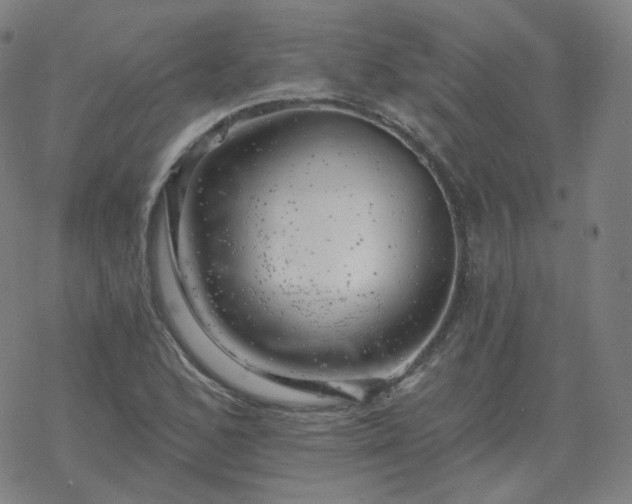 X0000068891168200605122026