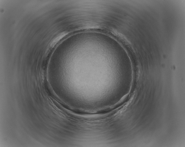 X0000068891169200605122026