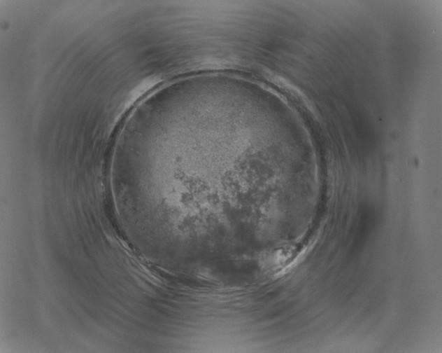 X0000068891170200605122026