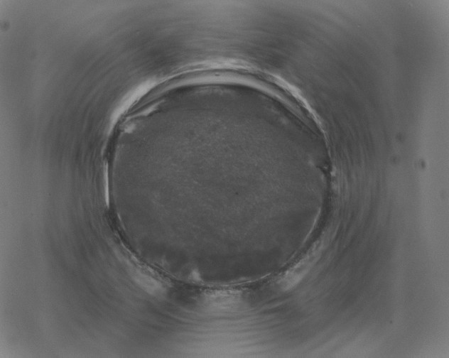 X0000068891171200605122026