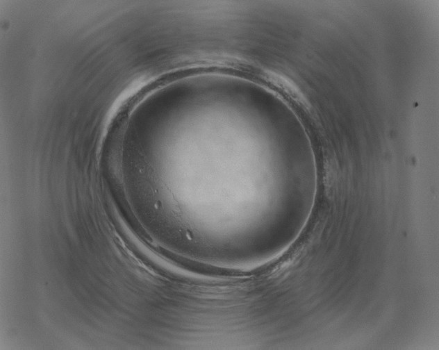 X0000068891172200605122026