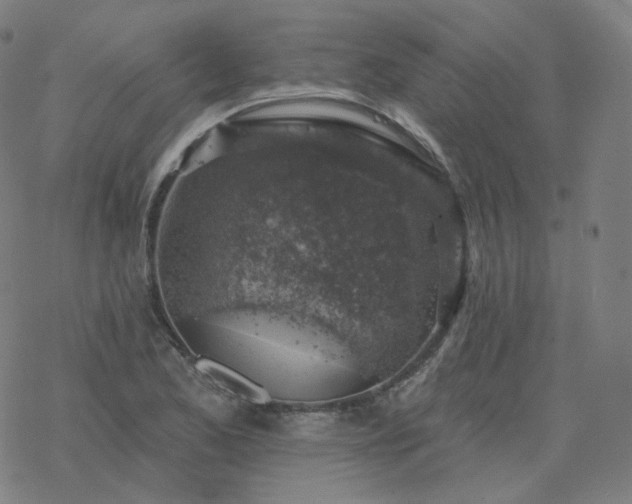 X0000068891173200605122026