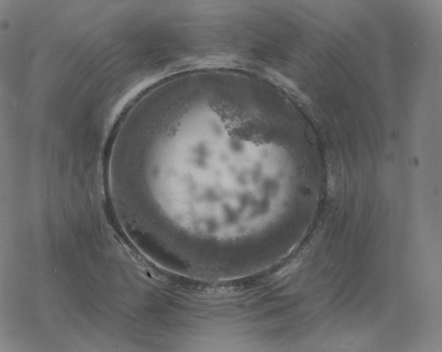 X0000068891174200605122026