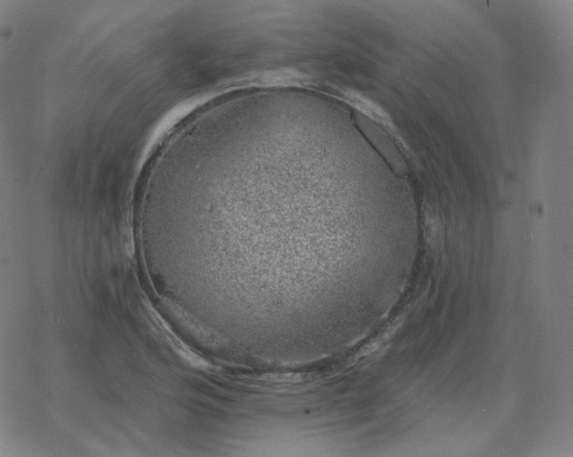 X0000068891176200605122026