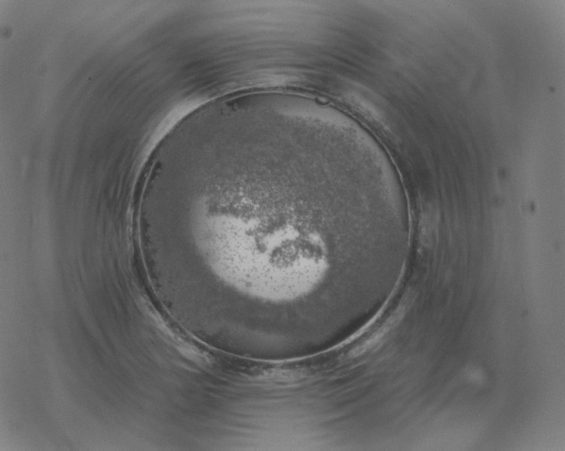 X0000068891178200605122026