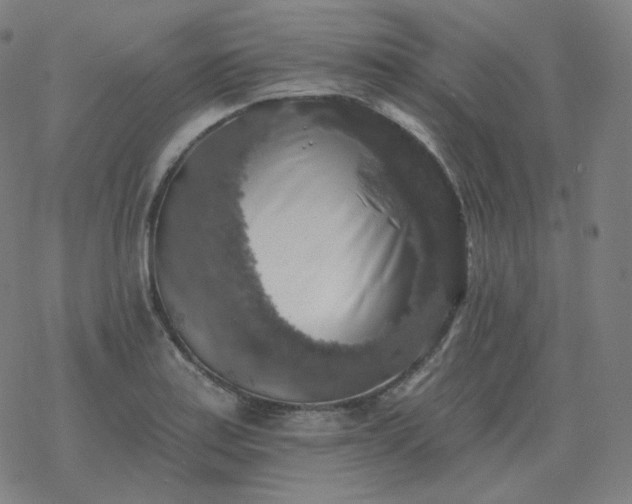 X0000068891179200605122026