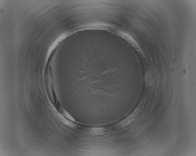 X0000068891180200605122026