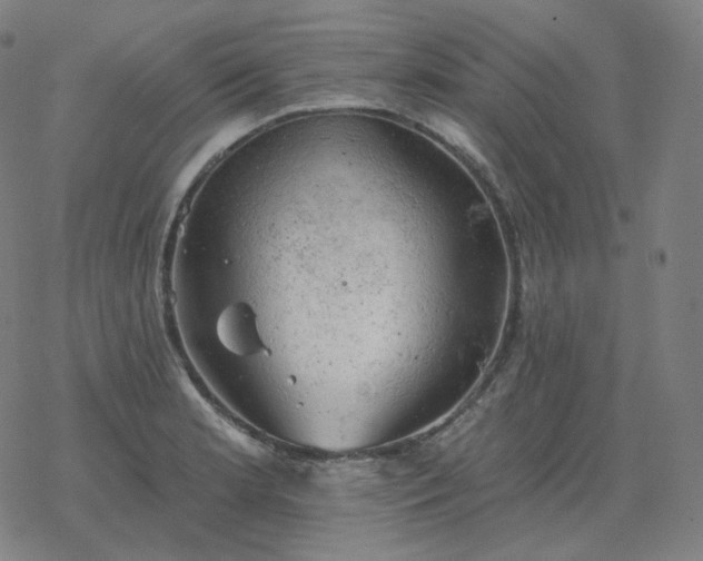 X0000068891181200605122026