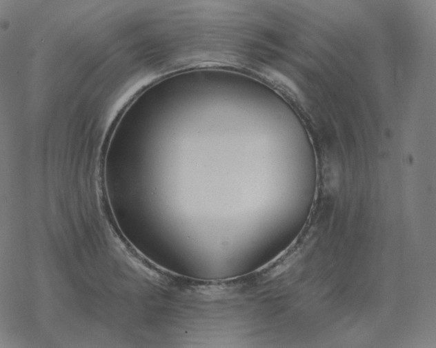 X0000068891182200605122026