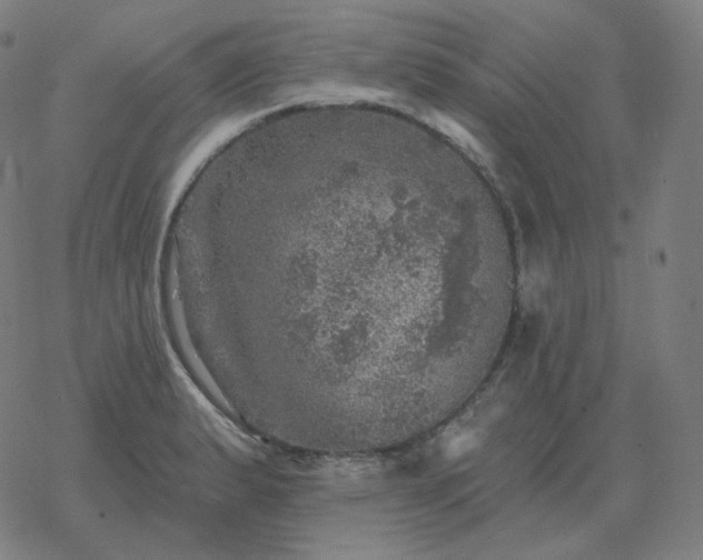 X0000068891183200605122026