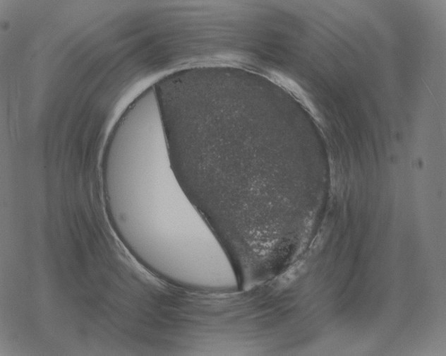 X0000068891184200605122026