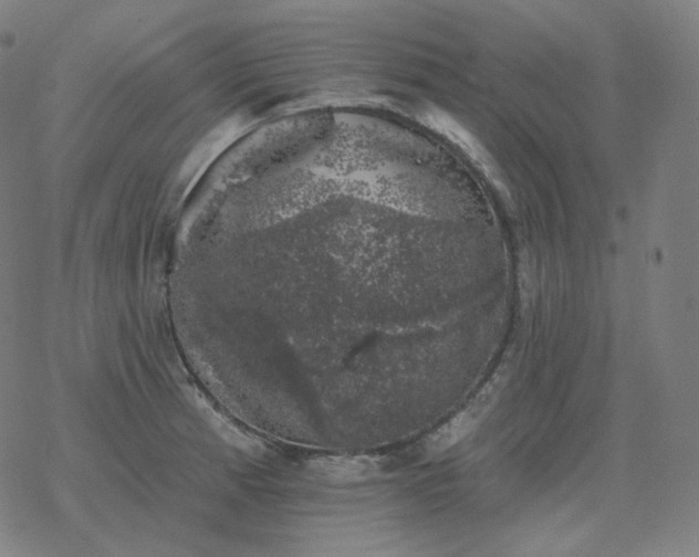 X0000068891185200605122026