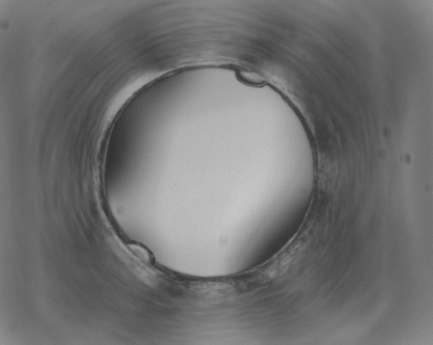 X0000068891187200605122026