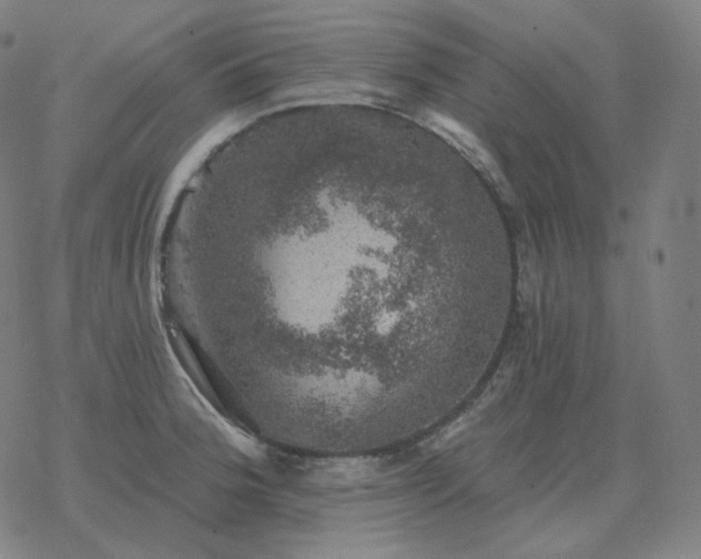 X0000068891188200605122026