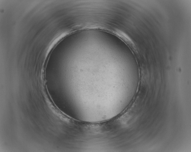 X0000068891190200605122026