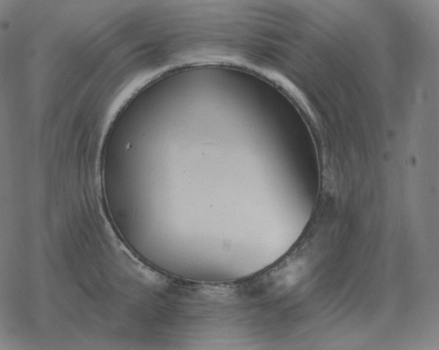 X0000068891191200605122026