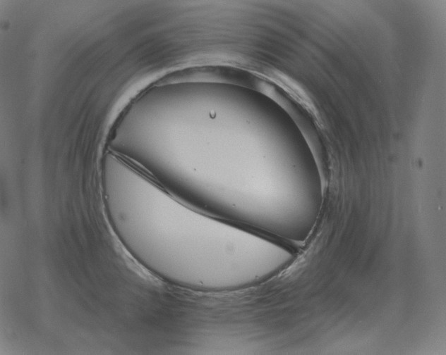 X0000068891192200605122026