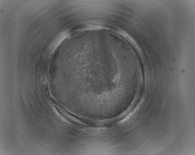 X0000068891193200605122026