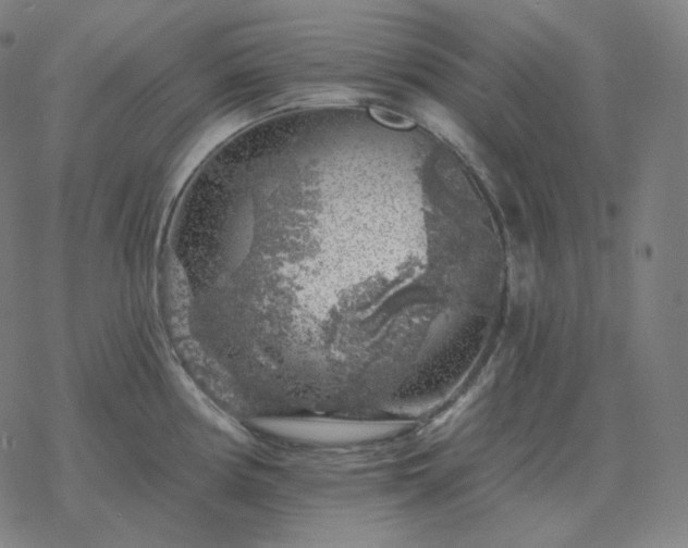 X0000068891194200605122026