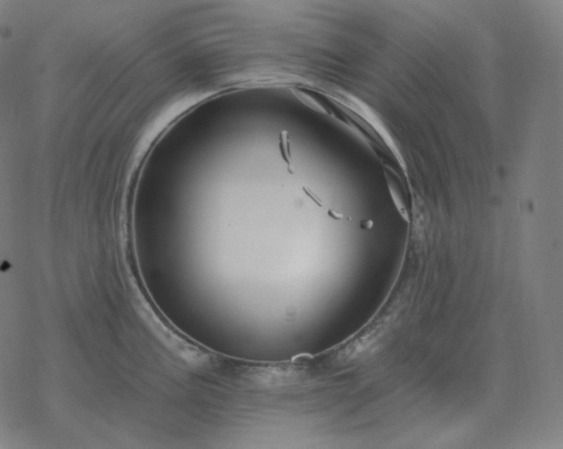 X0000068891195200605122026