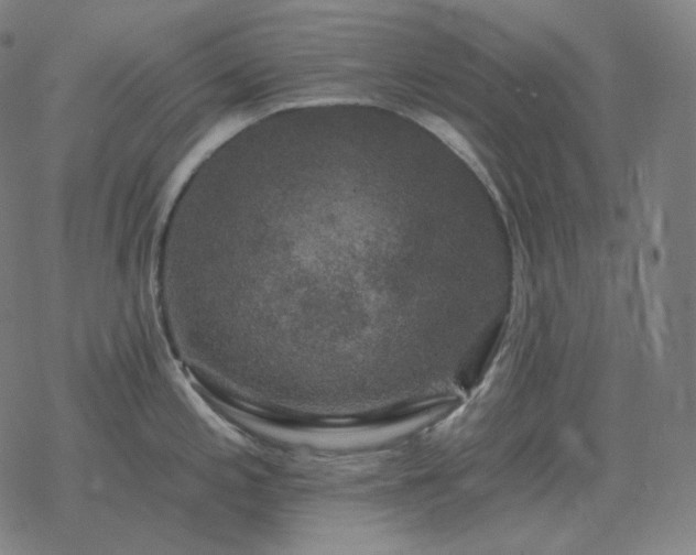 X0000068891197200605122026