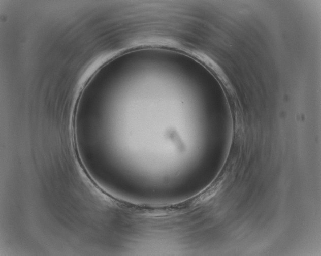 X0000068891199200605122026