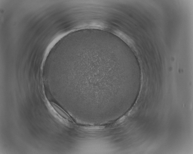 X0000068891200200605122026