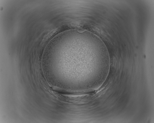 X0000068891201200605122025