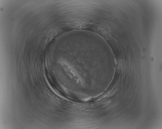 X0000068891202200605122025