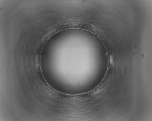 X0000068891203200605122025