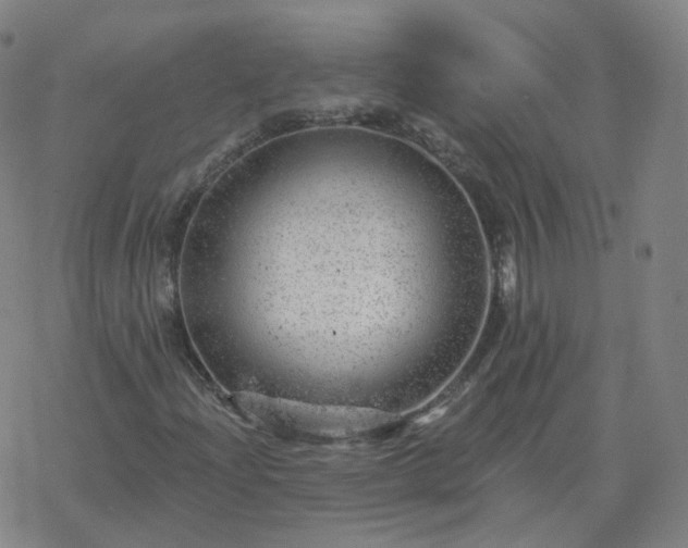 X0000068891204200605122025