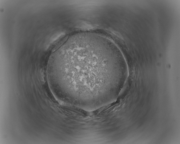 X0000068891205200605122025