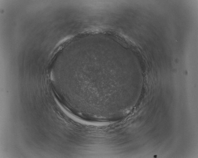 X0000068891206200605122025