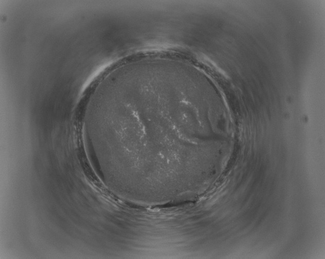 X0000068891208200605122025