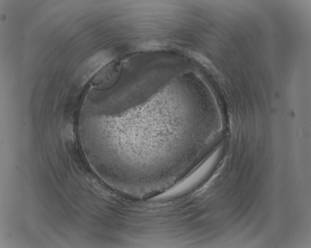 X0000068891209200605122025