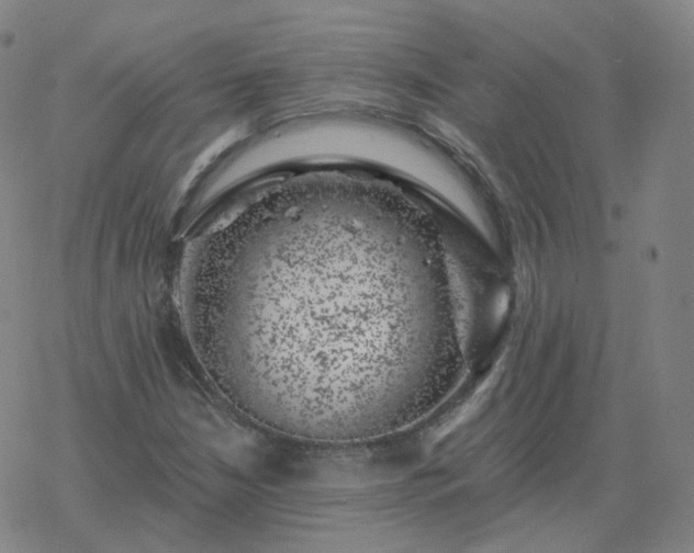 X0000068891210200605122025