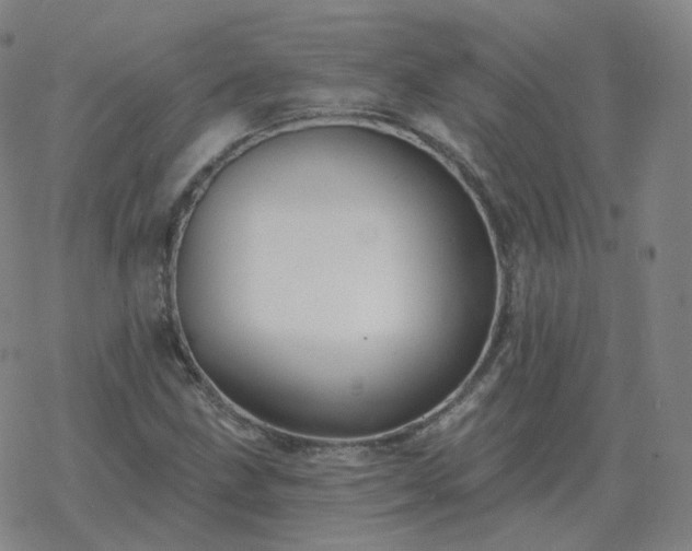 X0000068891211200605122025