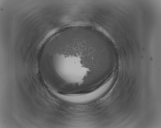 X0000068891213200605122025